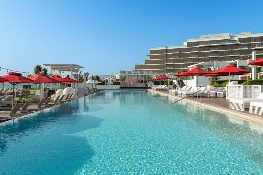 Fluid & Flavour: ENVY Lunch, Wine & Fluid Pool Club Pass - Fluid Pool & Beach Club: Palm Views and All-Day Lounge Time