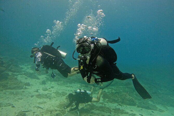 From Abu Dhabi: 2 Dives for Certified Divers in Fujairah - Key Highlights You’ll Feel on This Fujairah Day Trip