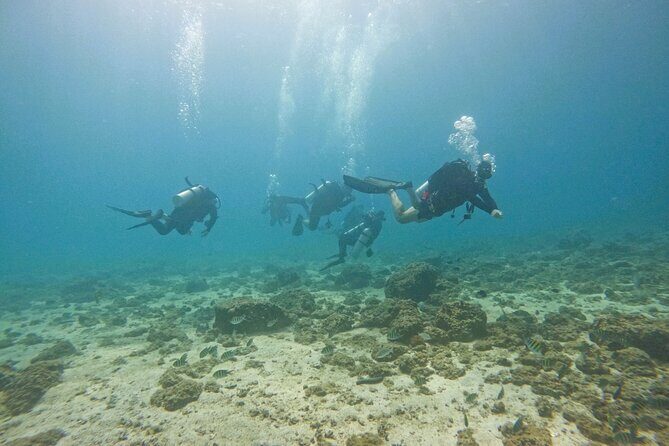 From Abu Dhabi: 2 Dives for Certified Divers in Fujairah - Two Scuba Sessions Off Fujairah: What You’re Actually Buying