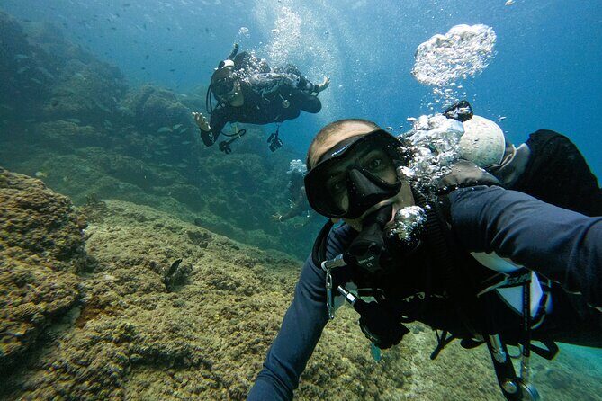 From Abu Dhabi: 2 Dives for Certified Divers in Fujairah - Underwater Highlights: Wrecks, Corals, Artificial Reefs, and Macro Life