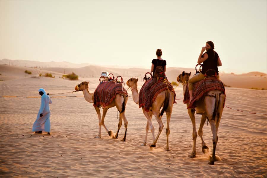 From Abu Dhabi: 4-Hour Morning Desert Excursion - Quick hits before you go