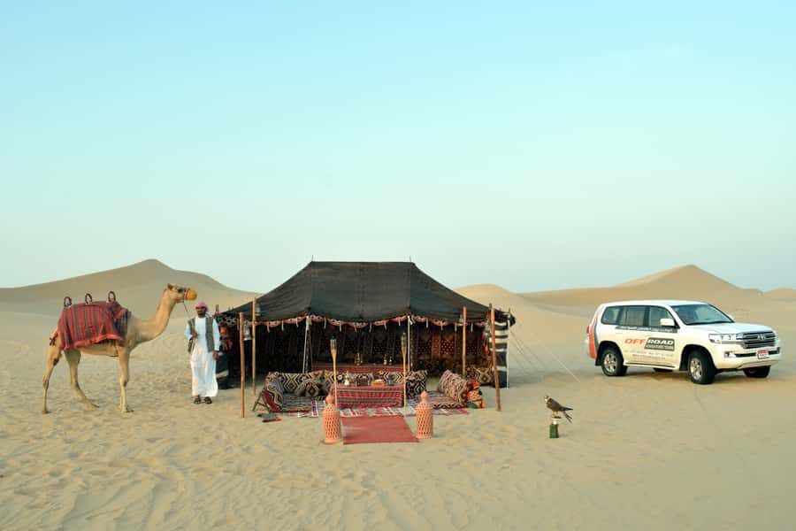 From Abu Dhabi: 4-Hour Morning Desert Excursion - In the Land Cruiser: 30 minutes of dune-bashing with real safety gear