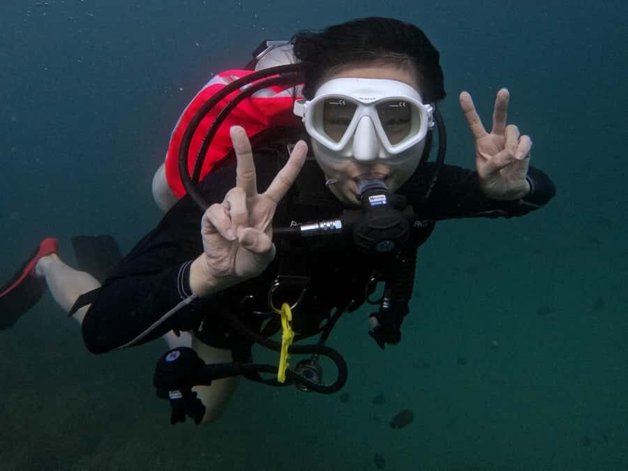 From Abu Dhabi: Scuba Dive and Snorkeling with BBQ, Transfer - Key reasons this day works so well