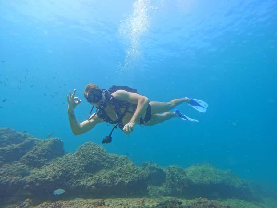From Abu Dhabi: Scuba Dive and Snorkeling with BBQ, Transfer - Abu Dhabi to Fujairah: the ride is part of the experience
