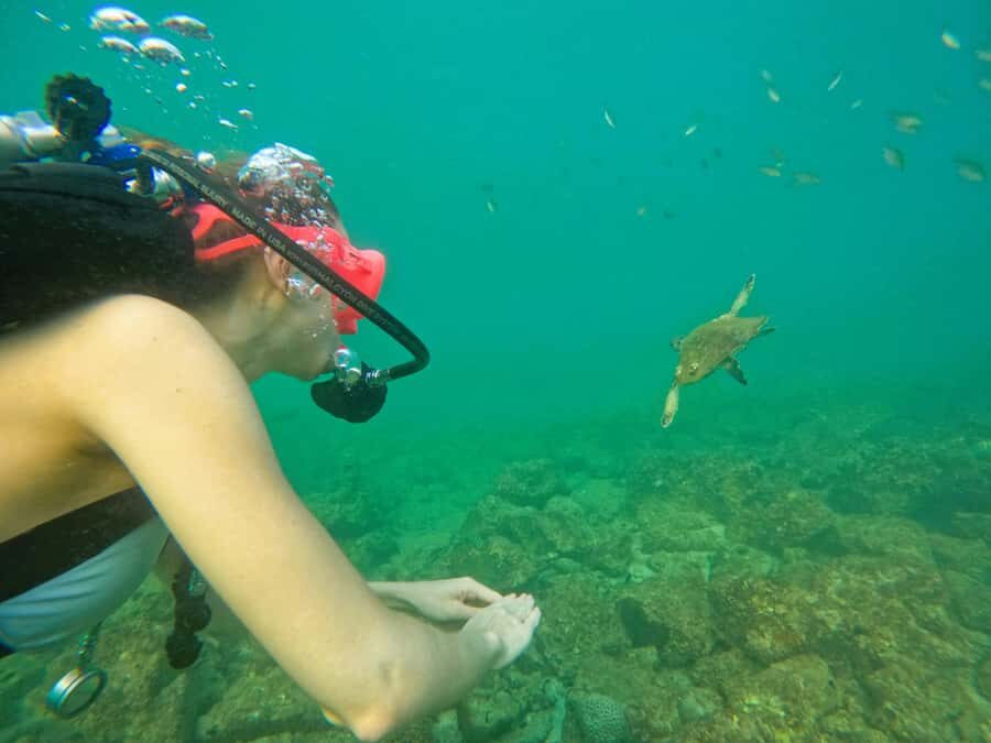 From Abu Dhabi: Scuba Dive and Snorkeling with BBQ, Transfer - The BBQ lunch at the center: refuel without fuss