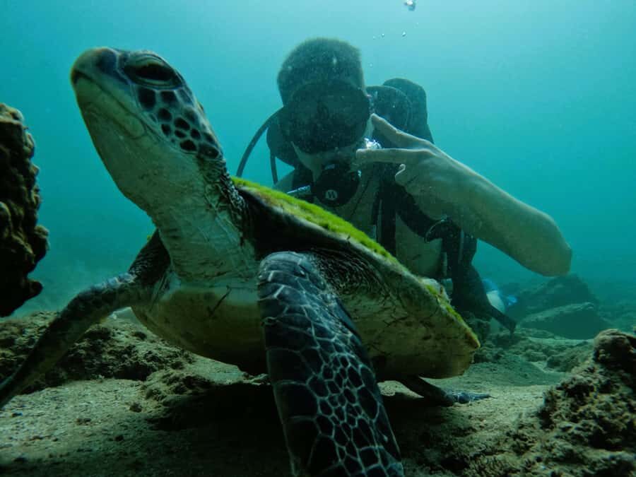 From Abu Dhabi: Scuba Dive and Snorkeling with BBQ, Transfer - Khorfakkan Amphitheatre and Waterfalls: quick breaks that actually change the mood