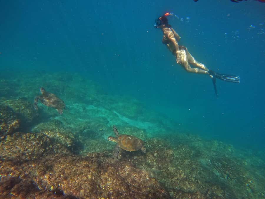 From Abu Dhabi: Scuba Dive and Snorkeling with BBQ, Transfer - Logistics that matter: timing, group flow, and what to bring