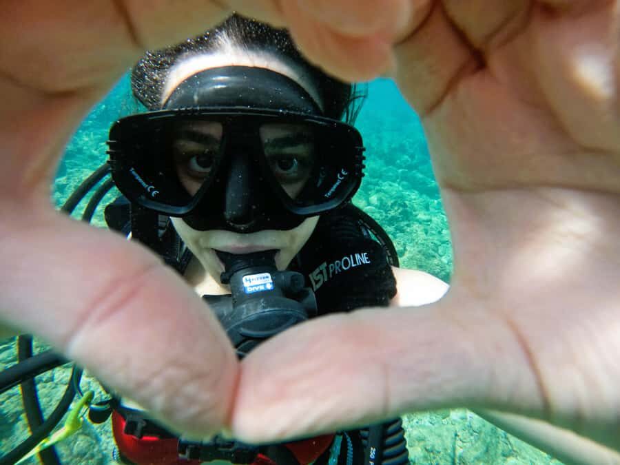 From Abu Dhabi: Scuba Dive and Snorkeling with BBQ, Transfer - Who this tour suits best (and who should skip it)