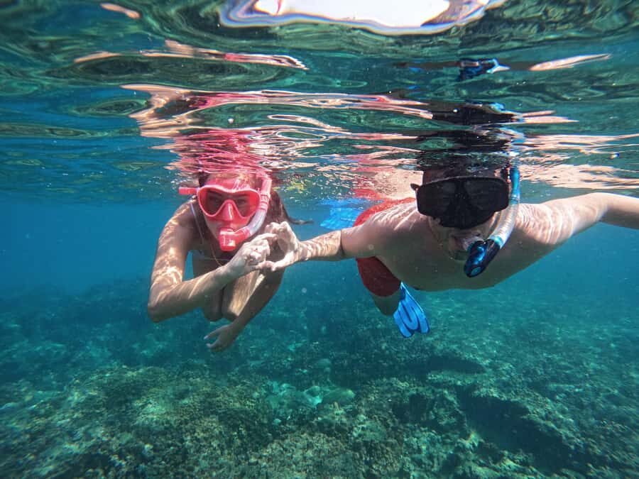 From Abu Dhabi: Scuba Dive and Snorkeling with BBQ, Transfer - Price and value: what $272 buys you here