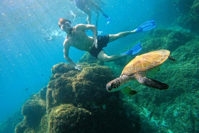 From Abu Dhabi: Snorkeling with turtles in Fujairah with BBQ - The 6:00 AM Abu Dhabi Pickup and How the Timing Really Feels