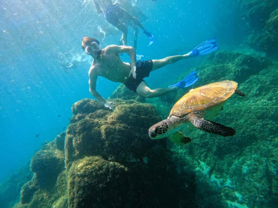 From Abu Dhabi: Snorkeling with Turtles in Fujairah with BBQ - Khorfakkan waterfall and amphitheatre: the scenic payoff