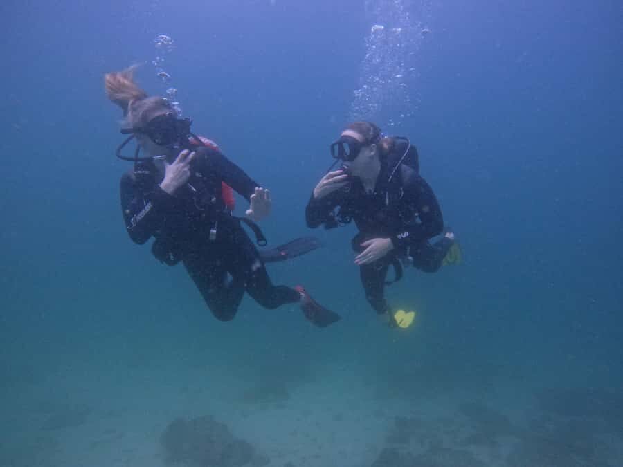 From Dubai: 2 Dives for Certified Divers with BBQ & Transfer - East Coast Scuba Sessions, Reef Life, and Real Comfort on the Boat