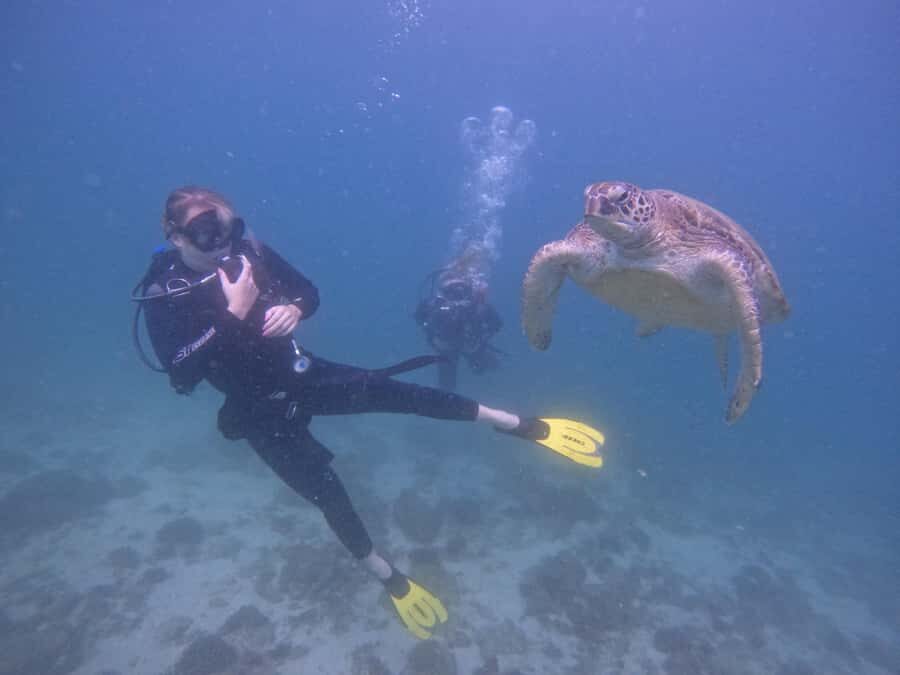 From Dubai: 2 Dives for Certified Divers with BBQ & Transfer - What You’ll Do Between the Two Sessions (And Why It’s Not Just Waiting)