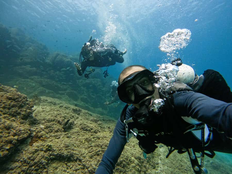 From Dubai: 2 Dives for Certified Divers with BBQ & Transfer - Onboard Comfort: 42-Foot Cruiser Setup and What to Expect Day-of