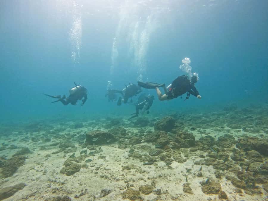 From Dubai: 2 Dives for Certified Divers with BBQ & Transfer - Price and Value: Is $160 Worth It for Two Sessions Plus Transfers?