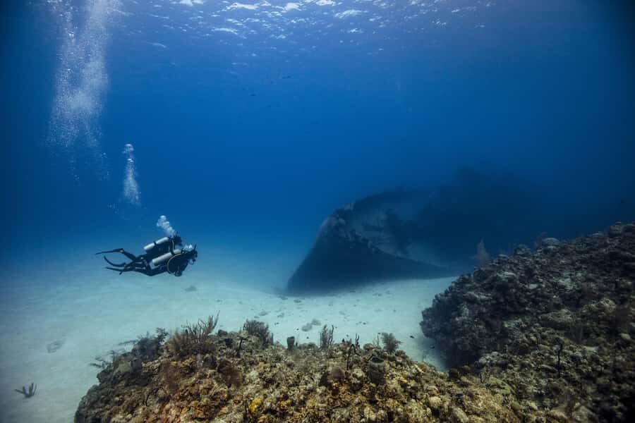 From Dubai: 2 Dives for Certified Divers with BBQ & Transfer - Fujairah Underwater Plan: Two Sites, Reef Habitat, Wrecks, and Macro