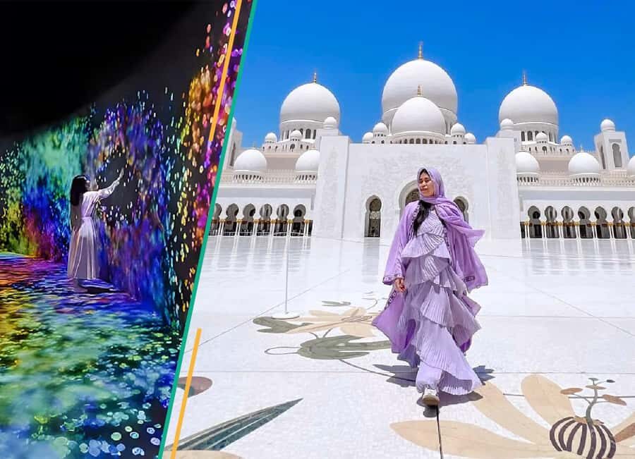 From Dubai: Abu Dhabi City Tour With teamLab Experience - A One-Day Abu Dhabi Highlight Reel: Mosque, Louvre, teamLab