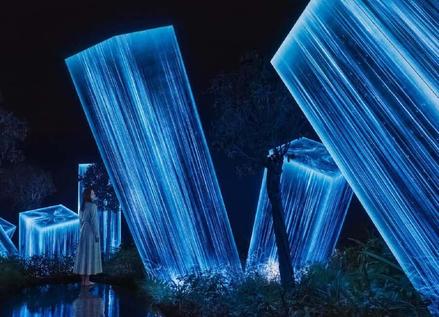 From Dubai: Abu Dhabi City Tour With teamLab Experience - teamLab Phenomena Abu Dhabi: How to Get the Most Out of 90 Minutes