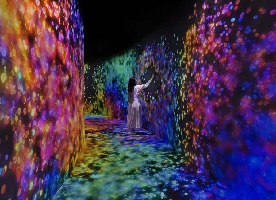 From Dubai: Abu Dhabi City Tour With teamLab Experience - Price and Value: What Your $96 Really Includes