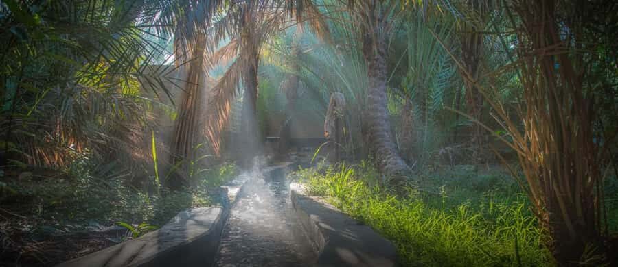 From Dubai: Al Ain City Tour - Key things to know before you go