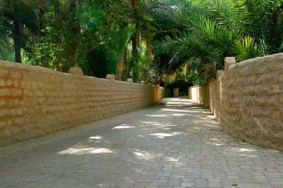 From Dubai: Al Ain Garden City Full-Day Sightseeing Tour - Al Muwaiji Fort: a strong start with real political and cultural weight
