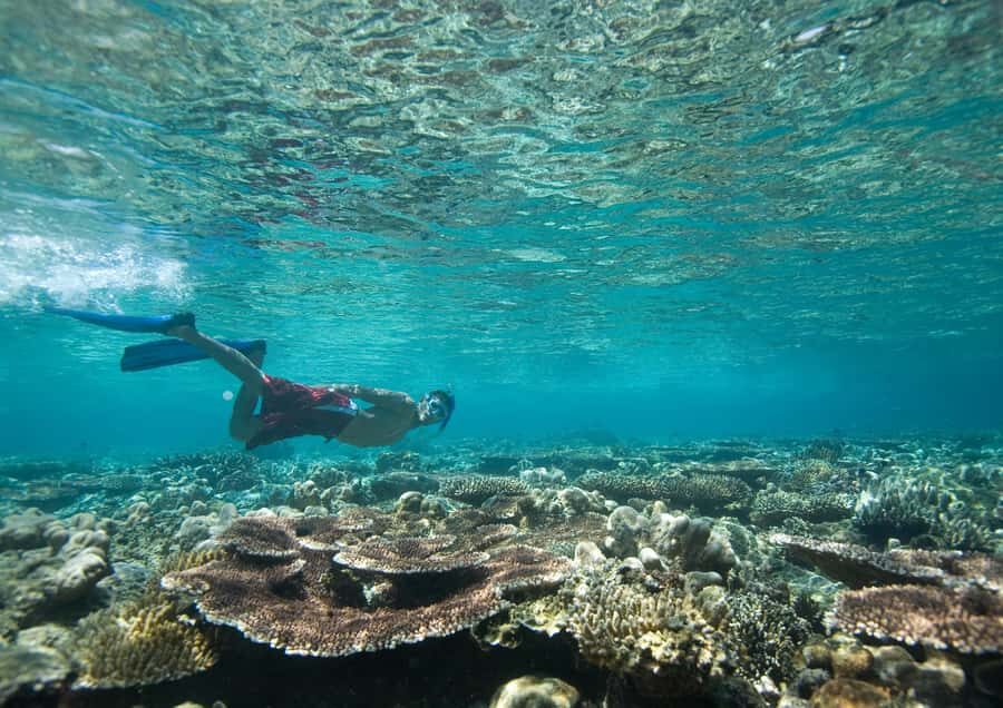 From Dubai: Discovery Scuba Diving & Snorkeling In Fujairah - Gulf of Oman and Dibba: Why This Spot Works for Beginners