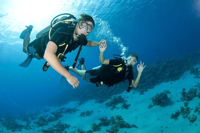 From Dubai: Discovery Scuba Diving & Snorkeling trip in Fujairah - Why Fujairah Works for First-Timers (and City Burnout)