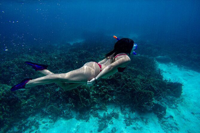From Dubai: Discovery Scuba Diving & Snorkeling trip in Fujairah - Off Dibba Al-Fujairah: Your Guided Underwater Session Up to 12 Meters