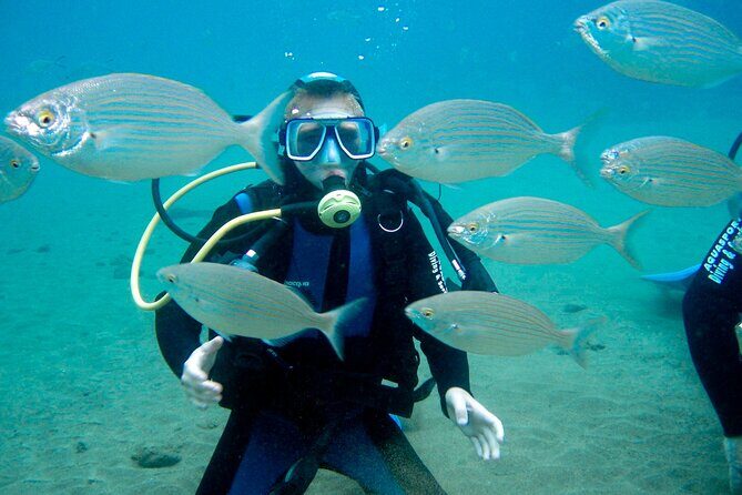 From Dubai: Discovery Scuba Diving & Snorkeling trip in Fujairah - Price and Value: What $155 Buys (and Why It’s Not Just “A Swim”)