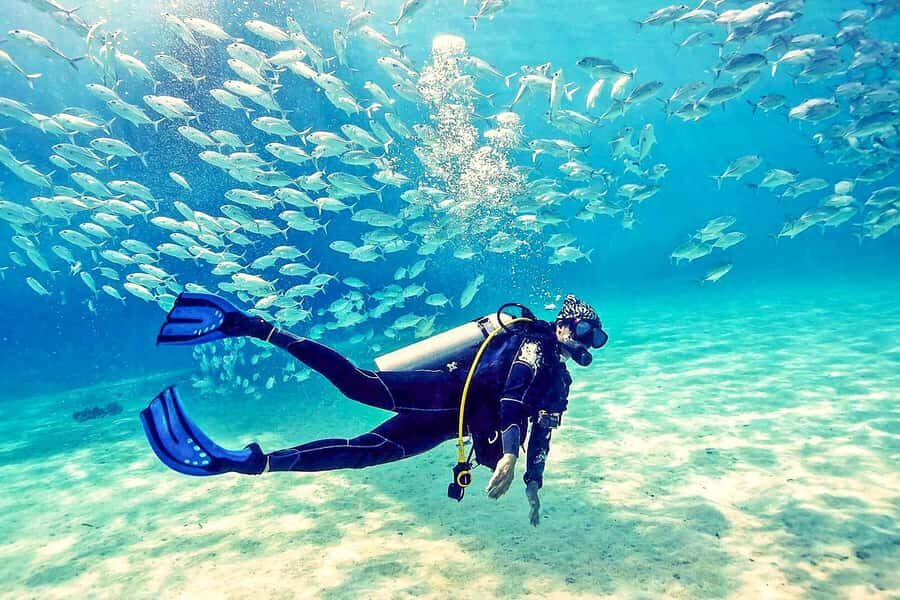 From Dubai: Fujairah Half-Day Scuba Dive and Snorkeling - At a glance: what makes this Fujairah trip worth your morning