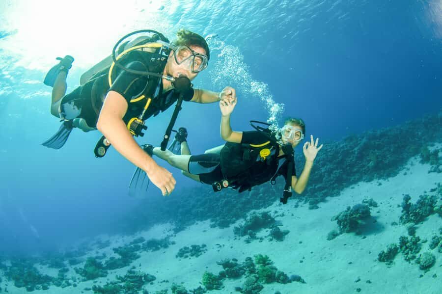 From Dubai: Fujairah Half-Day Scuba Dive and Snorkeling - Getting kitted up: gear, life jacket, and what to pack
