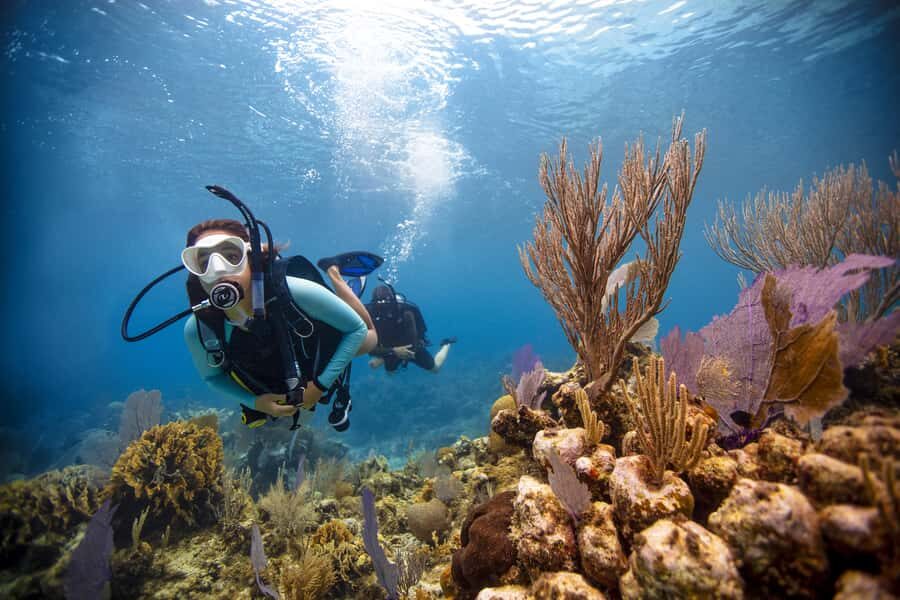 From Dubai: Fujairah Scuba Dive and Snorkeling - The boat setup: sun deck, drinks, snacks, and onboard facilities