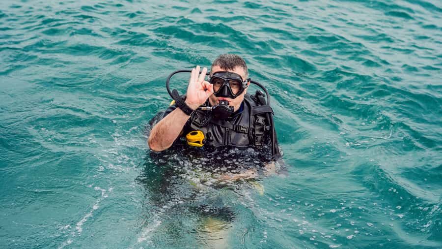 From Dubai: Fujairah Scuba Dive and Snorkeling - Two underwater locations: what you can see and what changes by license