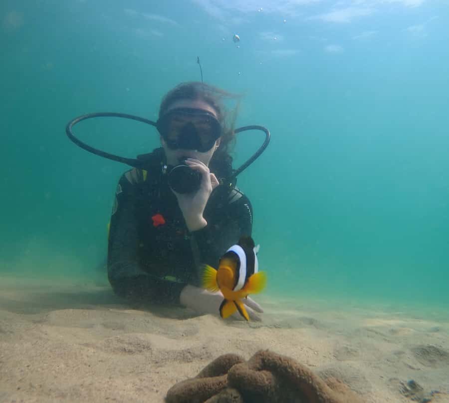 From Dubai: Fujairah Scuba Dive and Snorkeling - Price and value: what $157 buys in real terms