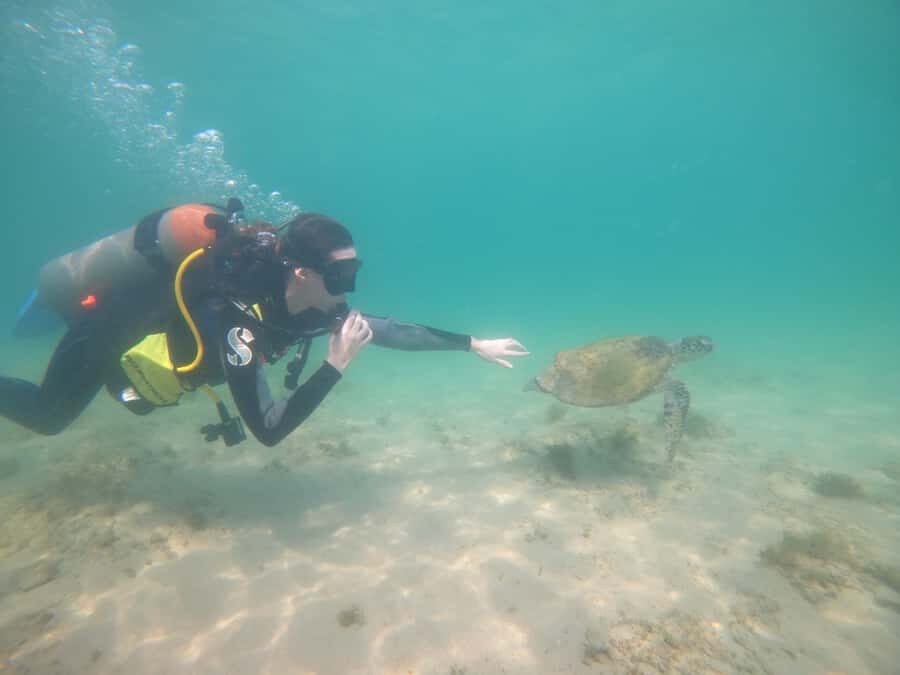 From Dubai: Fujairah Scuba Dive and Snorkeling - Who this tour is best for (and who should skip it)