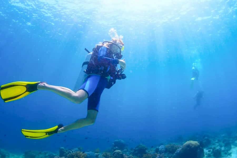 From Dubai: Fujairah Scuba Dive and Snorkeling - Morning pickup, gear-up, and the cruise views you’ll actually remember
