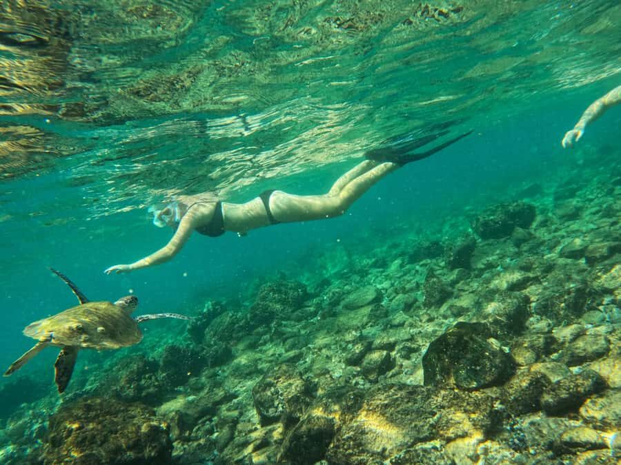 From Dubai: Fujairah Snorkeling with Turtles, Transfer & BBQ - Dubai to Fujairah: why this long drive can still feel worth it