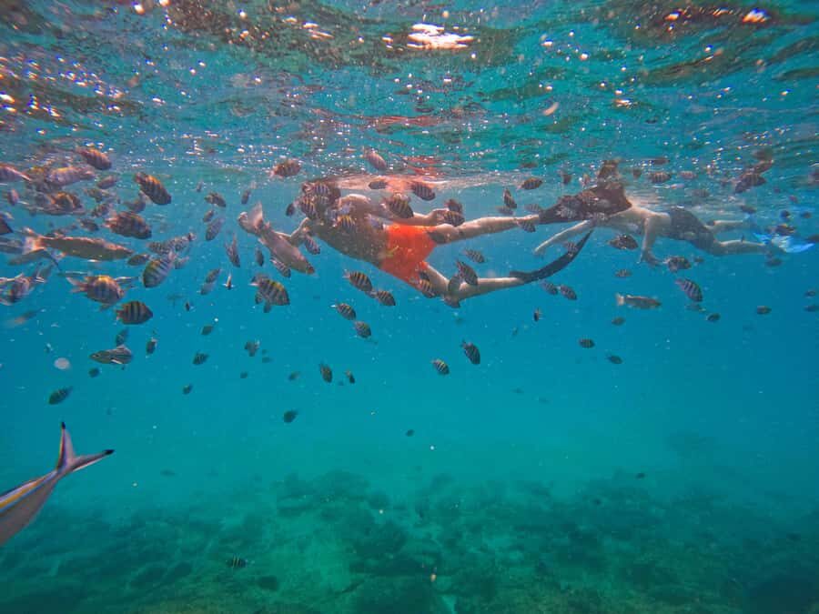 From Dubai: Fujairah Snorkeling with Turtles, Transfer & BBQ - Al Bidya Mosque and Khorfakkan sights: the scenic payoff on the way back