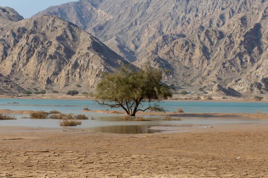 From Dubai: Jabel Jais High Mountain Tour with Transfers - Who this Jebel Jais tour suits best (and who may want a different plan)