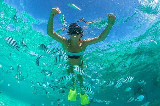 From Dubai: Snorkeling trip in Fujairah - Key things I’d highlight before you go