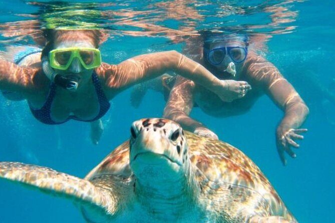 From Dubai: Snorkeling trip in Fujairah - The boat day: what happens after you’re picked up