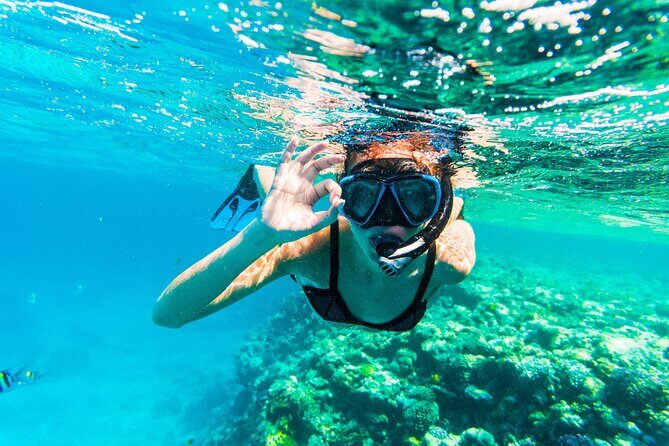 From Dubai: Snorkeling trip in Fujairah - Time, pacing, and why some days feel “short”