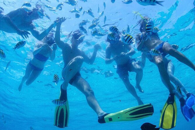 From Dubai: Snorkeling trip in Fujairah - Who should book: families, first-timers, and wildlife lovers