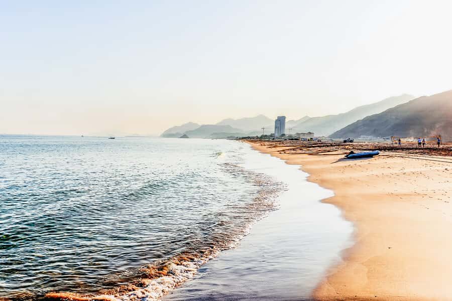 From Dubai: Snorkeling Trip to Dibba Al-Fujairah - Dibba Al-Fujairah Underwater: Turtles, Black-Tip Sharks, and Reef Fish