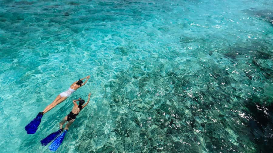 From Dubai: Snorkeling Trip to Dibba Al-Fujairah - Who Should Book This Trip (and Who Should Skip It)