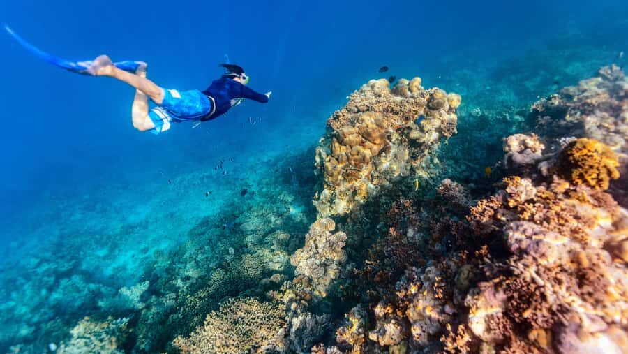 From Dubai: Snorkeling Trip to Dibba Al-Fujairah - The 8-Hour Schedule: How the Day Flows From Pickup to Last Swim