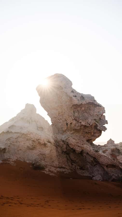 From Dubai: Zerzura Dune Buggy Experience & Fossil Discovery - What to Bring for a Smooth Desert Day in Sharjah