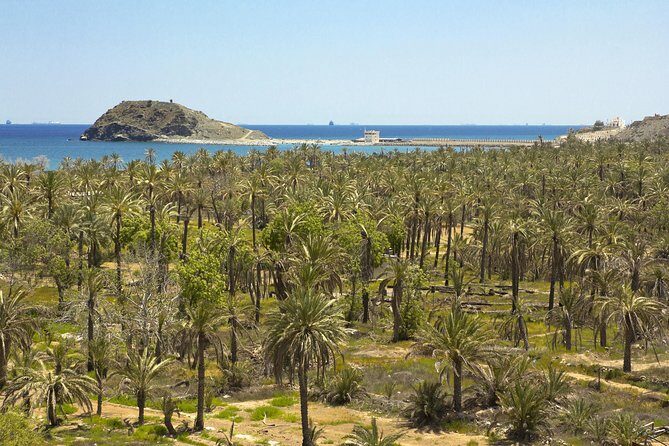 Fujairah Full-Day Tour from Dubai With Spanish-Speaking Guide - Price and value: is $125 per person a fair deal?
