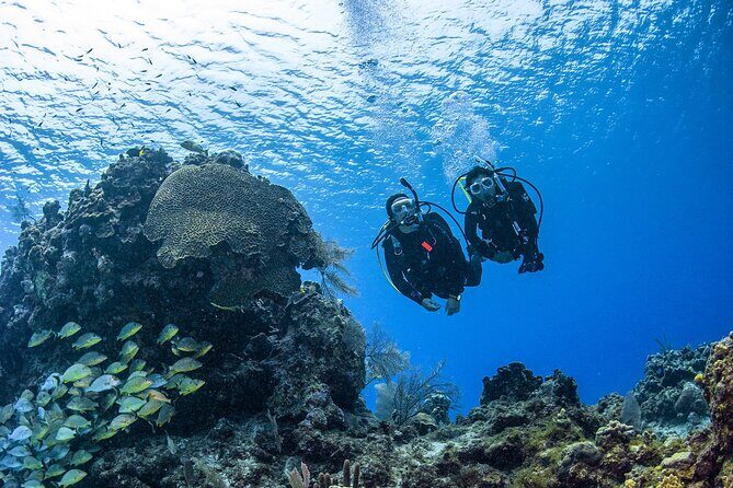 Fujairah: PADI Open Water Diver Course - Key things I’d zero in on before you book