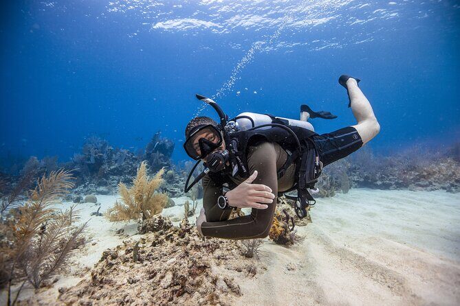 Fujairah: PADI Open Water Diver Course - Getting to Reef Oasis (and why pickup helps)